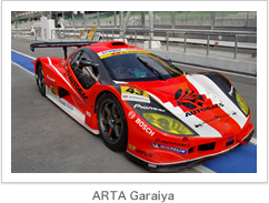 Pulse GlucARTA Garaiya